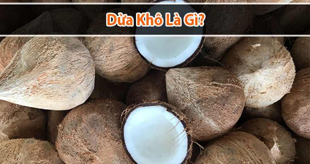 Định nghĩa về sản phẩm dừa khô so với dừa tươi